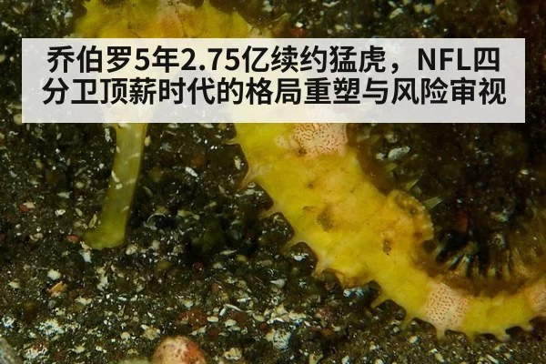 乔伯罗5年2.75亿续约猛虎,NFL四分卫顶薪时代的格局重塑与风险审视