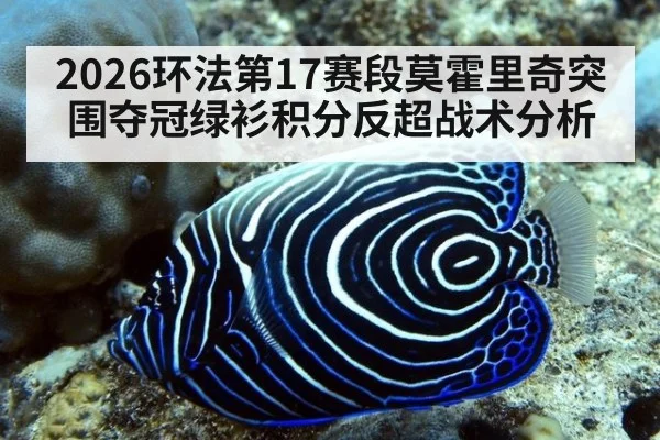 2026环法第17赛段莫霍里奇突围夺冠绿衫积分反超战术分析