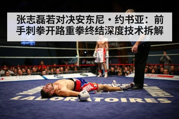 张志磊若对决安东尼·约书亚：前手刺拳开路重拳终结深度技术拆解